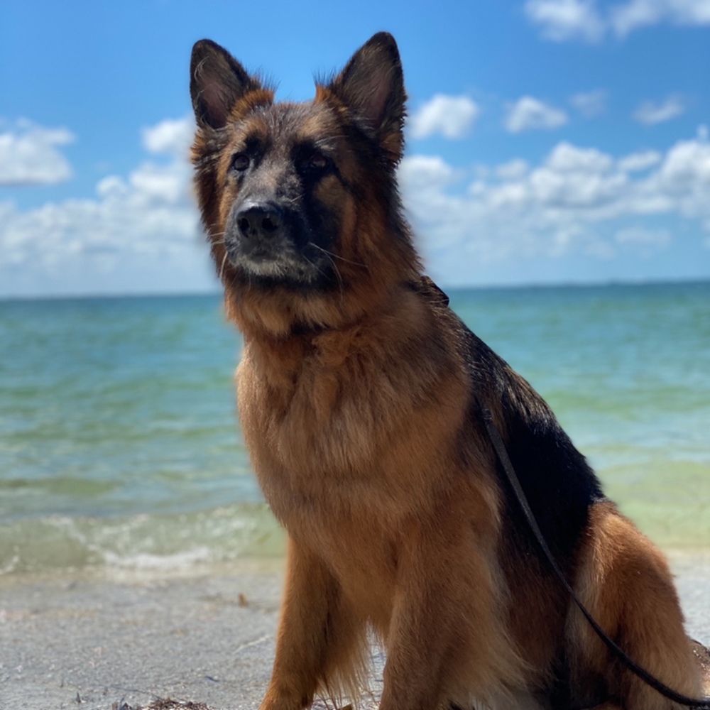 Meet your Posher, Angela